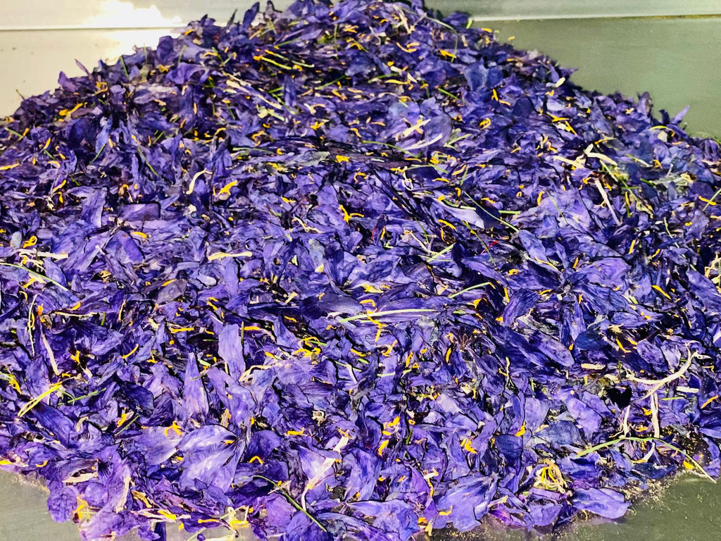 Deshydrated Saffron Flower Petals