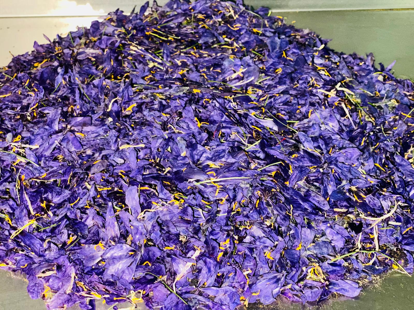Deshydrated Saffron Flower Petals